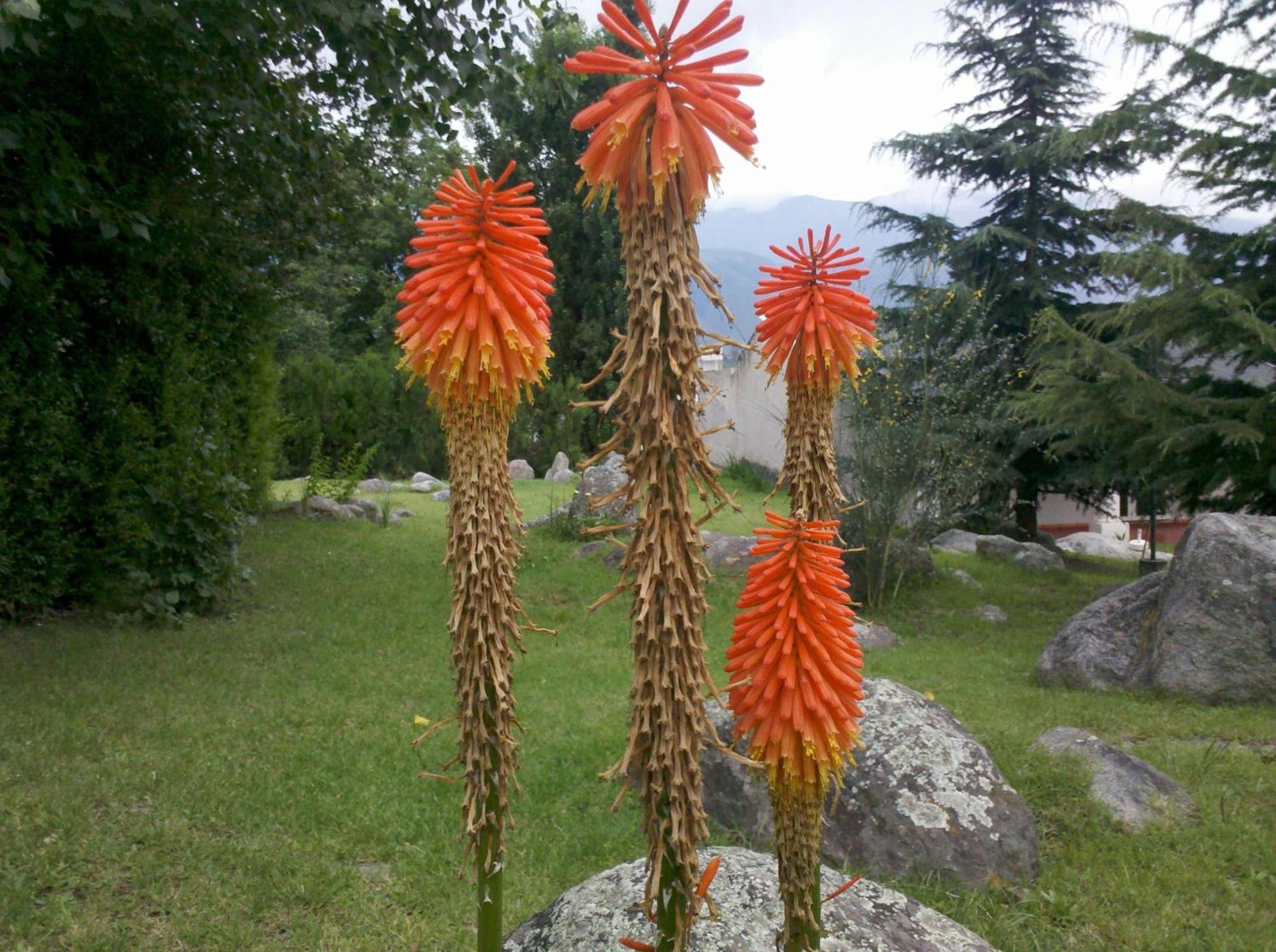 Hotel Tafi Tafí del Valle Dış mekan fotoğraf